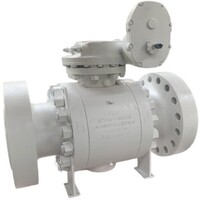 FLV trunnion